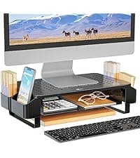 WALI Computer Monitor Stand for Desk, Adjustable Laptop Riser, Desk Monitor Stand Underneath Storage for Office, Home, School Supplies (STT003), 1 Pack, Black
