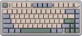 EPOMAKER x Aula F75 Gasket Mechanical Keyboard, 75% Wireless Hot Swappable Gaming Keyboard with Five-Layer Padding&Knob, Bluetooth/2.4GHz/USB-C, RGB (Green, LEOBOG Reaper Switch)