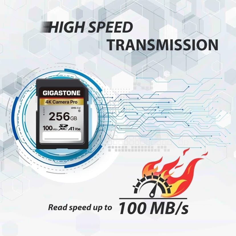 [5-Yrs Free Data Recovery] GIGASTONE 256GB Memory Card 4K Pro Series Speed Up to 100MB/s Compatible with Canon Nikon Sony Camcorder, A1 V30 UHS-I