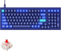 Keychron Q5 RGB QMK/VIA Programmable Macro Wired Custom Mechanical Keyboard with Hot-Swappable Gateron G Pro Red Switch, 96% Layout Full Aluminum Double Gasket for Mac Windows Linux(Blue)