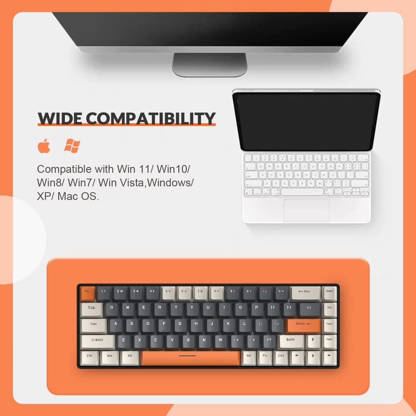 ZIYOU LANG RK-T8 Wired 65% Mechanical Gaming Keyboard with RGB LED Backlit Anti-ghosting TKL Mini 68 Key Custom Coiled C to A Cable Tactile Brown Switch for PS4 PS5 Xbox PC Mac Gamer(White/Dark Gray)