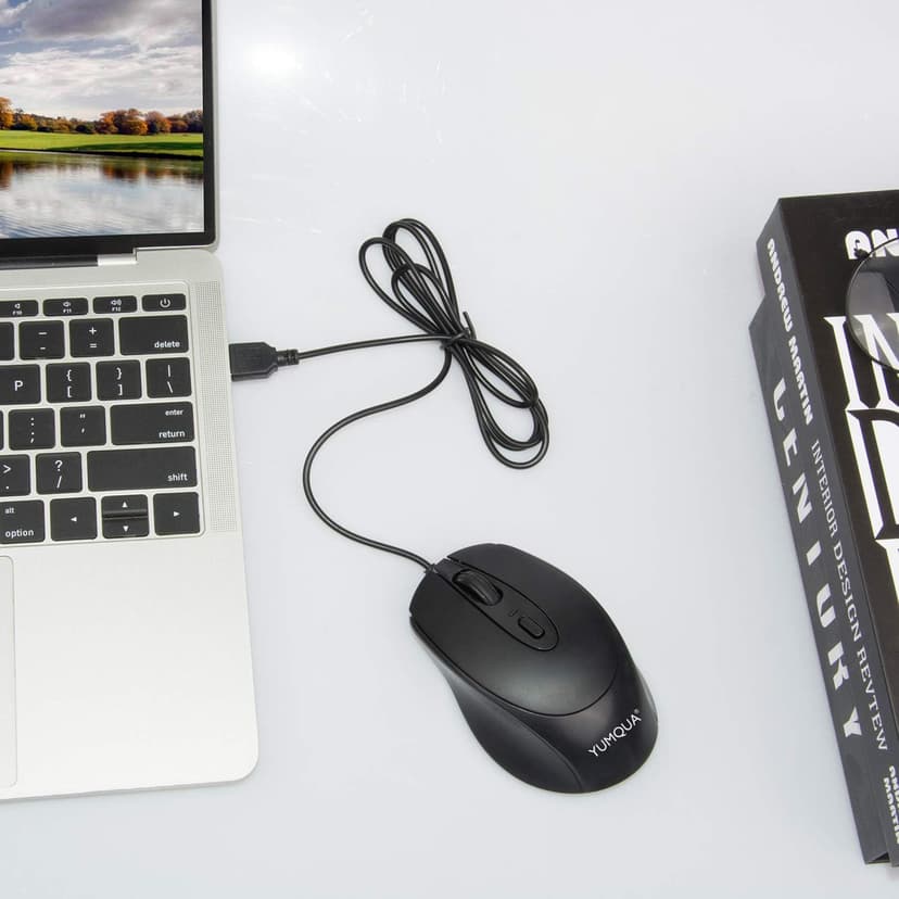 G222 Silent Computer Mouse - 2 Pack Wired Optical USB Mouse, 800/1200 DPI, Home & Office, Desktop & Laptop PC & Chromebook