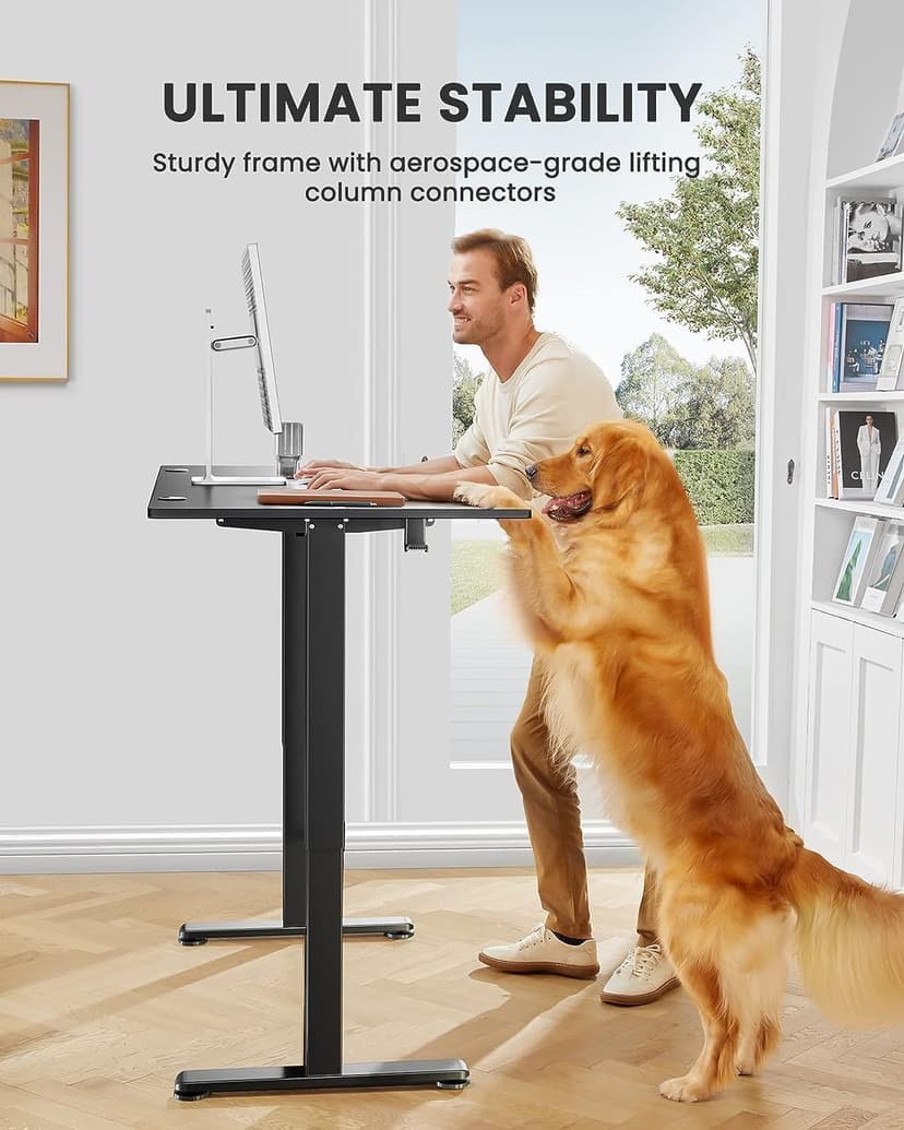 Height Adjustable Electric Standing Desk, Sit Stand up Desk, Memory Computer Home Office Desk with Two-Piece Desktop (Black, 48 * 24 Inch)