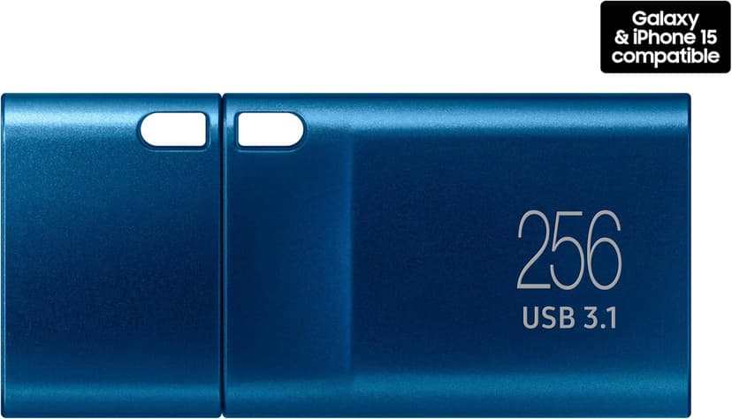 Samsung Type-C USB Flash Drive, 256GB, Transfers 4GB Files in 11 Secs w/Up to 400MB/s 3.13 Read Speeds, Compatible w/USB 3.0/2.0, Waterproof, 2022, Blue, MUF-256DA/AM