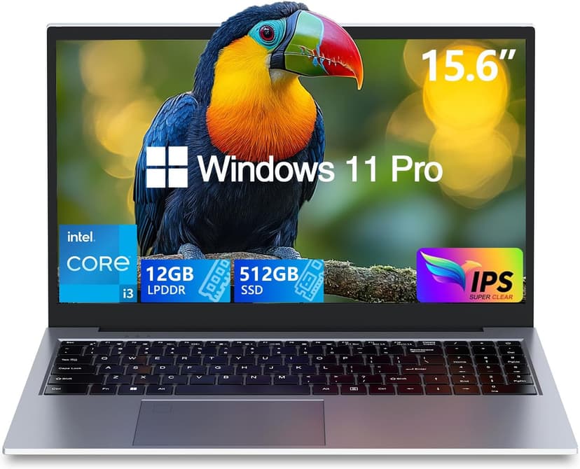 Gaming Laptops,Gaming Computer,Core i3 2 Cores 4 Threads (Upto 3.2GHz) Processor,15.6"FHD Display 1920X1080IPS,12GB DDR4 512GB SSD,180° Vieing Angle,Aluminum Body,WiFi/BT,Backlit Keyboard,SilverGray.