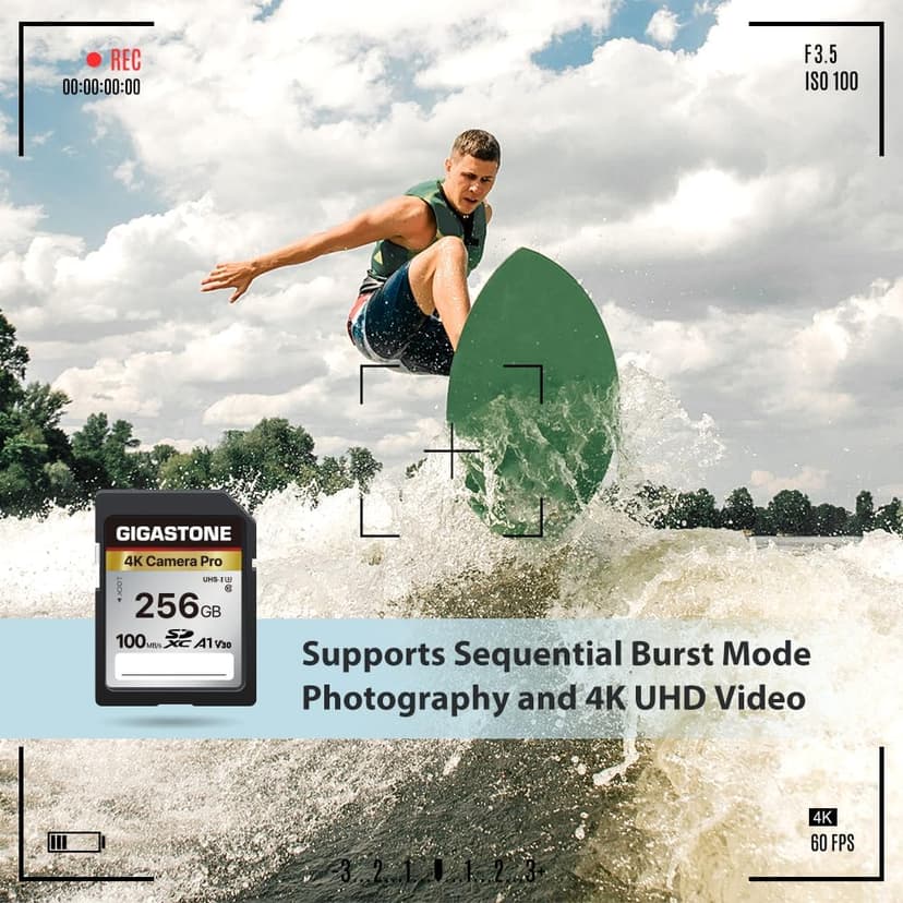 [5-Yrs Free Data Recovery] GIGASTONE 256GB Memory Card 4K Pro Series Speed Up to 100MB/s Compatible with Canon Nikon Sony Camcorder, A1 V30 UHS-I