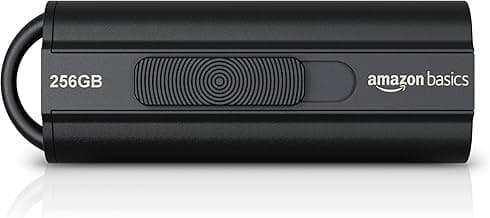 Amazon Basics 256 GB Ultra Fast USB 3.1 High Capacity Flash Drive for Data Transfer and Storage, Black