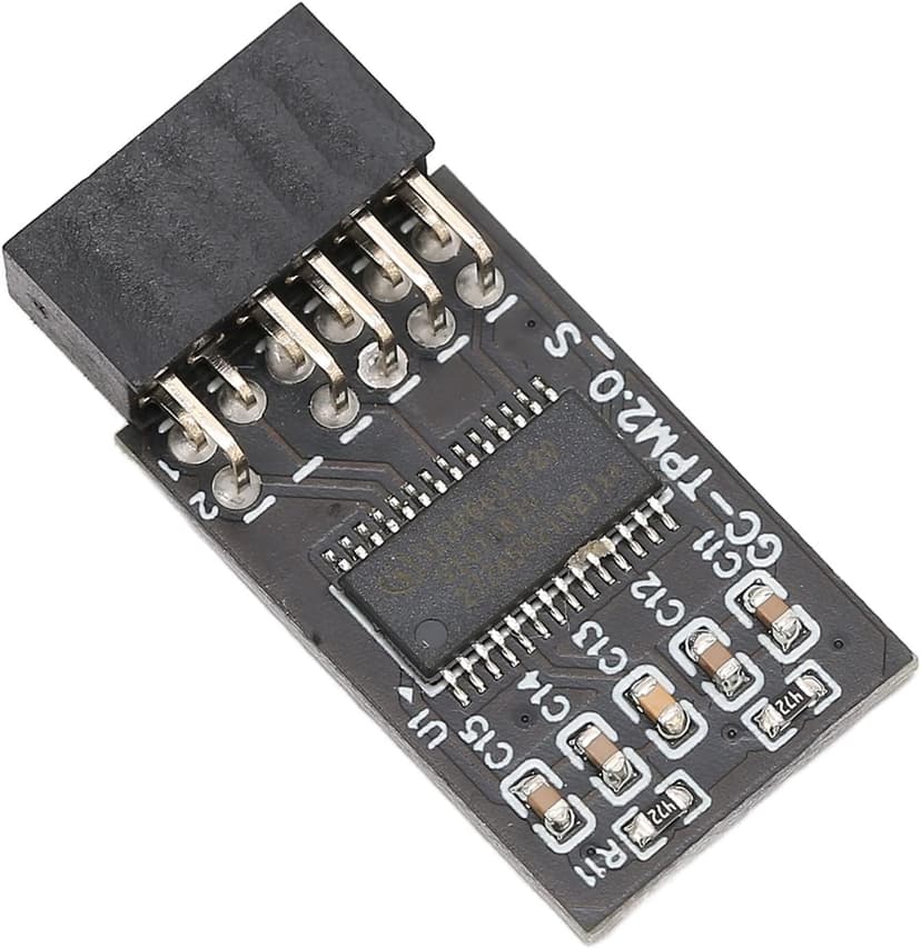 TPM 2.0 Encryption Security Module Compatible with Remote Card 11 Upgrade LPC TPM2.0 Module 12 pin for GIGABYTE Motherboards