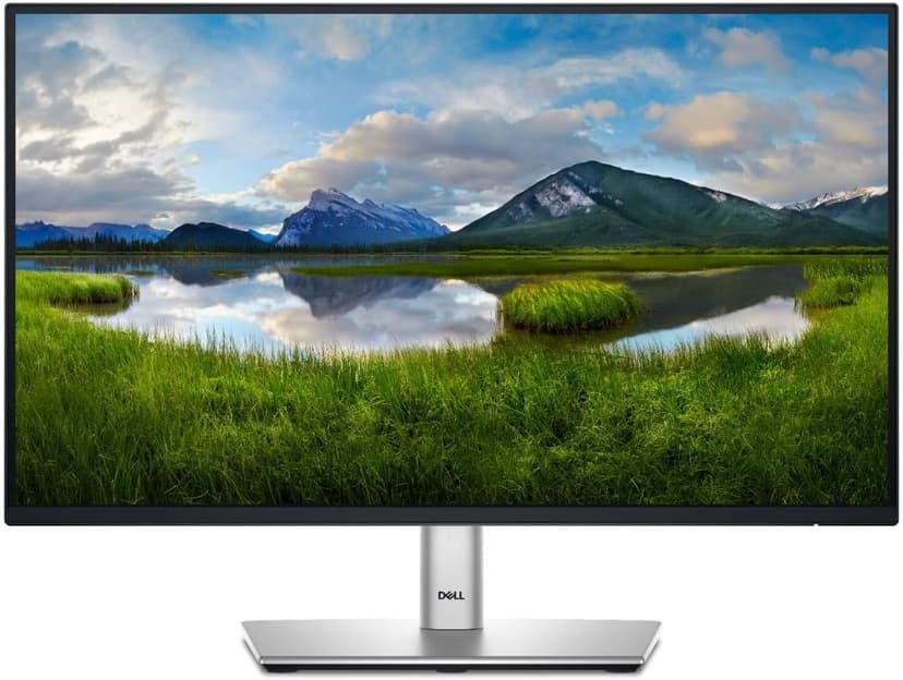 Dell 24 Monitor - P2422H - Full HD 1080p, IPS Technology, ComfortView Plus Technology