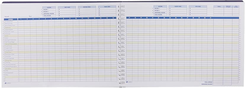 Adams Home Office Budget Book, Weekly/Monthly Format, 10 x 7 Inches, White (AFR31),ABFAFR31