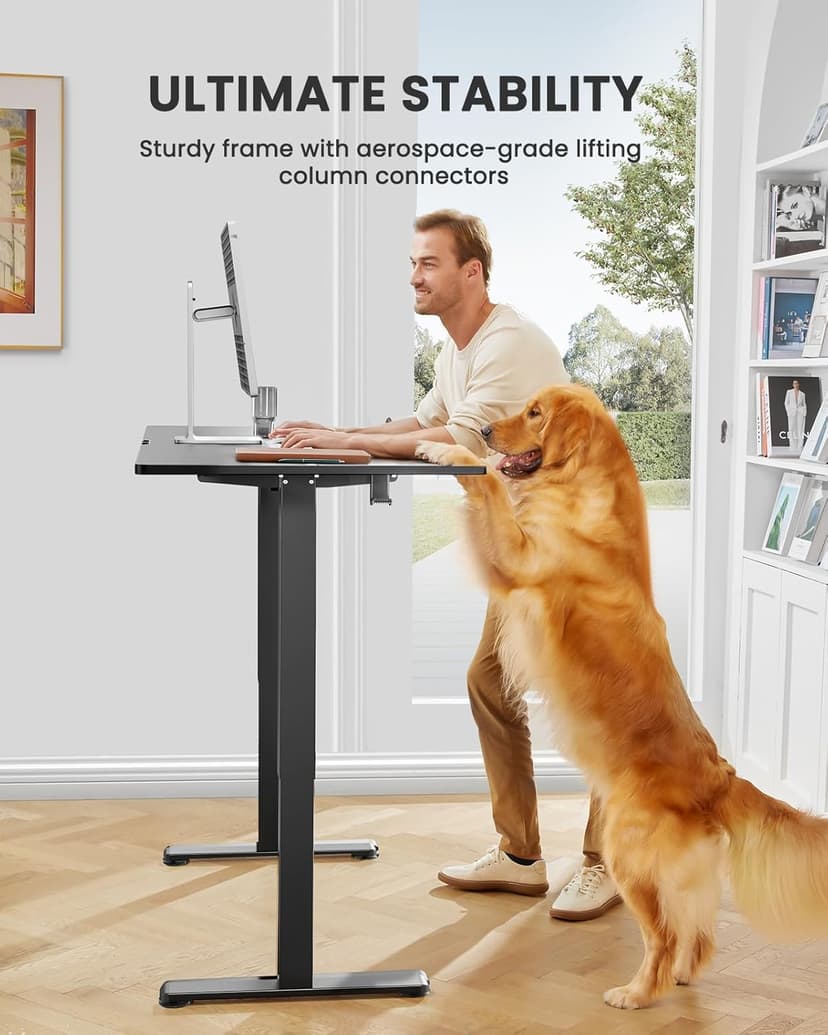 ErGear Height Adjustable Electric Standing Desk, 48 x 24 Inches Sit Stand up Desk, Memory Computer Home Office Desk with Two-Piece Desktop (Black)