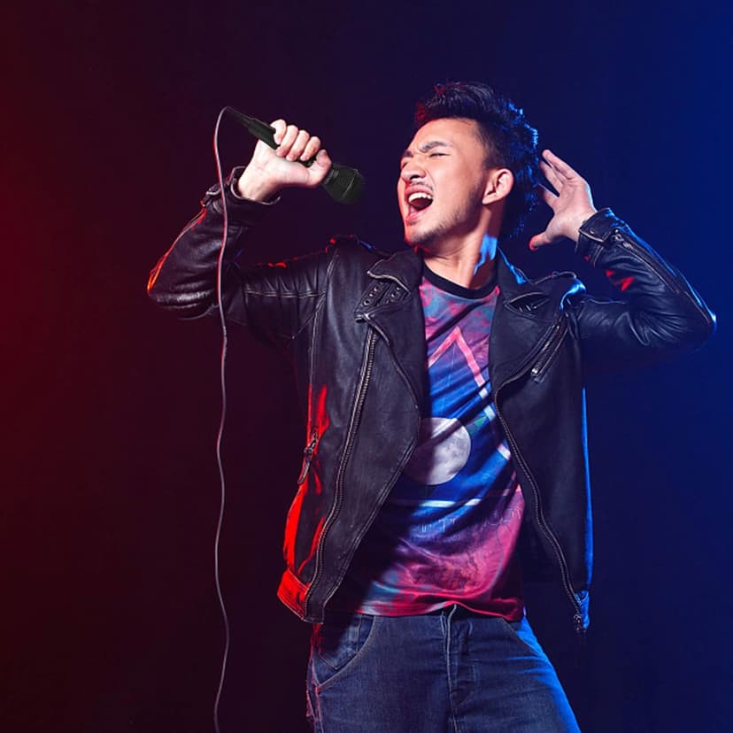 Wired Karaoke Microphone, Handheld for Singing, With 2.5m Cable, Vocal Dynamic Mic for Speaker, AMP, Mixer, DVD