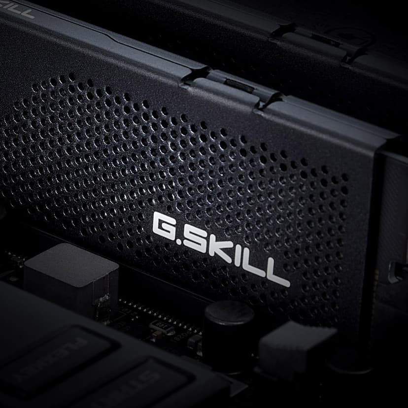G.SKILL Flare X5 Series (AMD Expo) DDR5 RAM 64GB (2x32GB) 6000MT/s CL30-40-40-96 1.40V Desktop Computer Memory UDIMM - Matte Black (F5-6000J3040G32GX2-FX5)