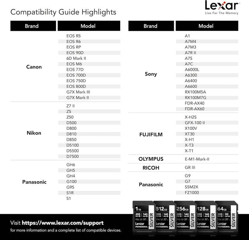 Lexar 256GB Professional Silver SD Card, UHS-I, C10, U3, V30, 4K, Up to 205/140 MB/s SDXC Memory Card, for Professional Photographer, Videographer, Enthusiast (LSDSILV256G-BNNNU)