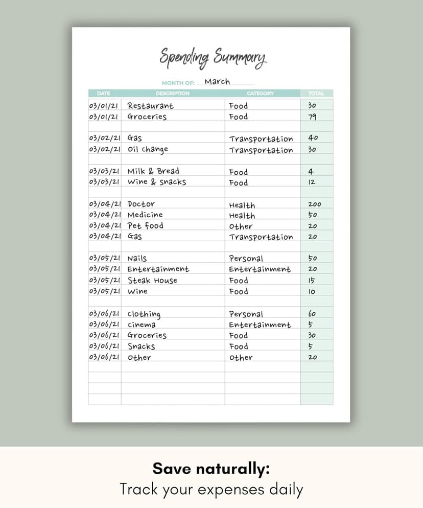 Lamare Budget Planner and Monthly Bill Organizer – Financial Planner with Expense Tracker Notebook, Debt Tracker & Budget Journal