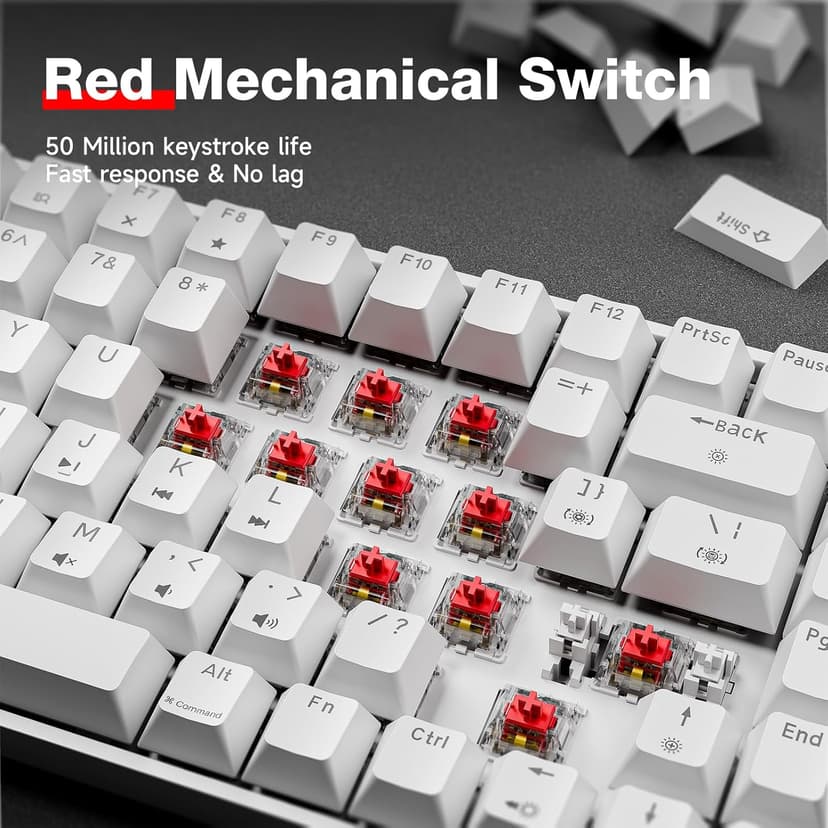 TMKB T84SE Gaming Keyboard, 75% Mechanical Gaming Keyboard with Linear Red Switch, Ice Blue LED Backlit, Detachable USB-C, Full Anti-Ghosting for Gaming/Typing/PC/Laptop/Win/Mac, US Layout, White