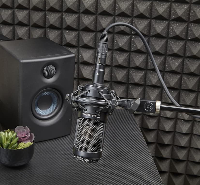 Audio-Technica AT2035 Cardioid Condenser Microphone, Black