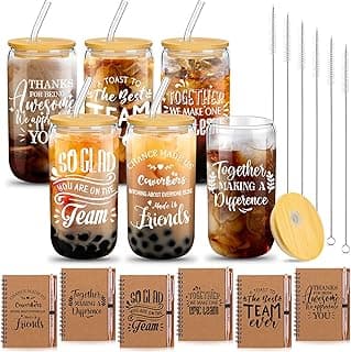 18 Pcs Teacher Employee Appreciation Gifts Summer Christmas Back to School Thank You Volunteer Coworker Staff Paraprofessional Motivational Notebook Ballpoint Pen Glass Cup(Team)