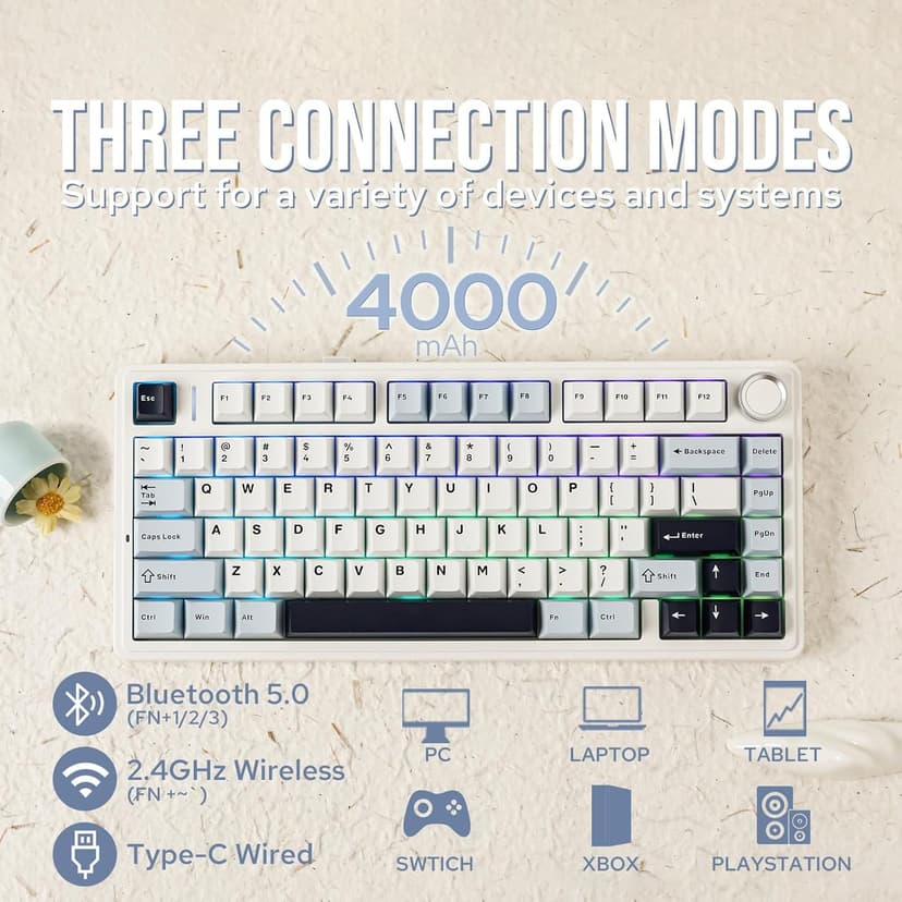 EPOMAKER x Aula F75 Gasket Mechanical Keyboard, 75% Wireless Hot Swappable Gaming Keyboard with Five-Layer Padding&Knob, Bluetooth/2.4GHz/USB-C, RGB (Light Blue, LEOBOG Reaper Switch)