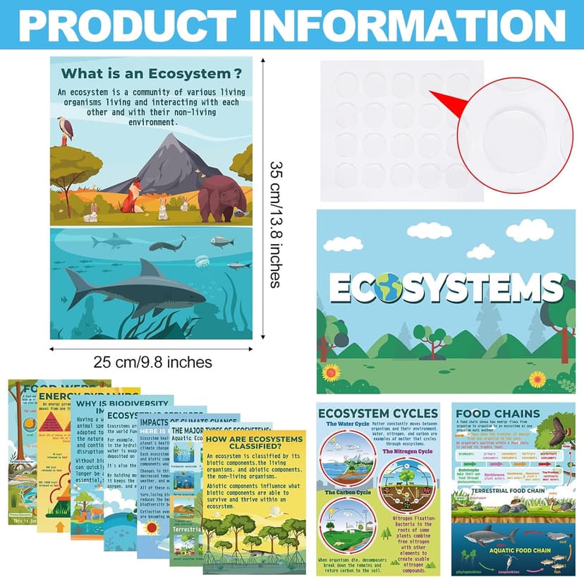 Pasimy 11 Pcs Science Posters for Classroom Ecosystems Teaching Poster Ecosystems Biological Food Chain Bulletin Board for Classroom Decoration Teacher Middle High School Educational Library Home