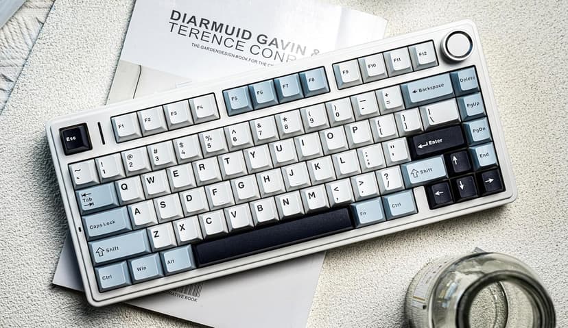 EPOMAKER x Aula F75 Gasket Mechanical Keyboard, 75% Wireless Hot Swappable Gaming Keyboard with Five-Layer Padding&Knob, Bluetooth/2.4GHz/USB-C, RGB (Light Blue, LEOBOG Reaper Switch)