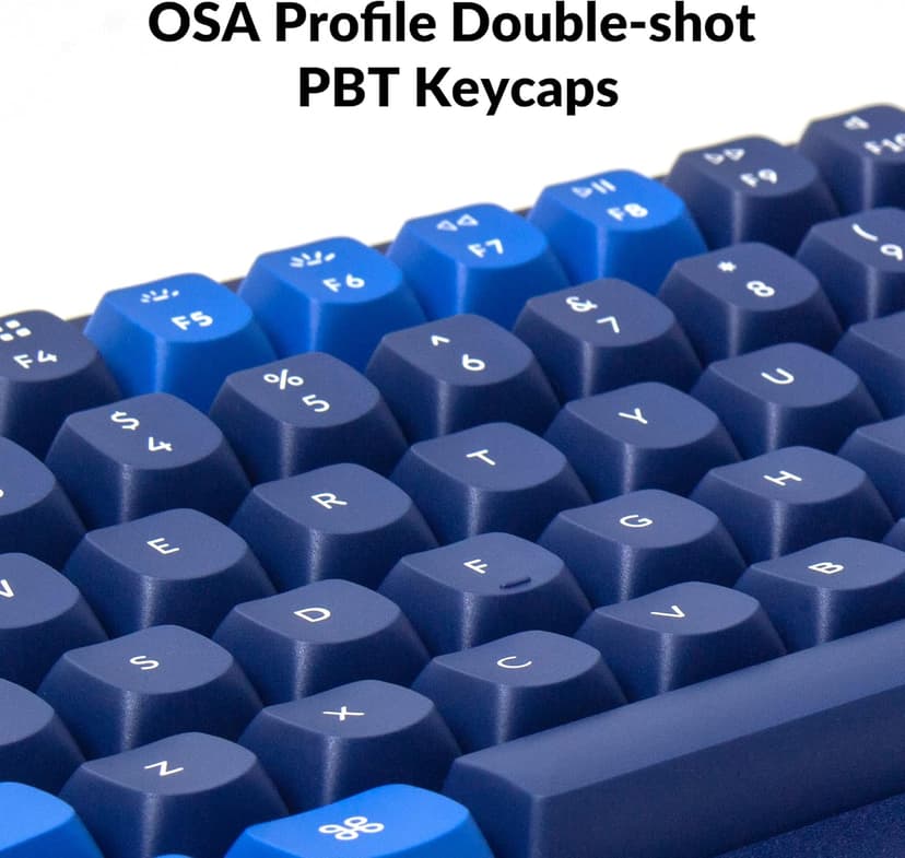 Keychron Q5 RGB QMK/VIA Programmable Macro Wired Custom Mechanical Keyboard with Hot-Swappable Gateron G Pro Red Switch, 96% Layout Full Aluminum Double Gasket for Mac Windows Linux(Blue)