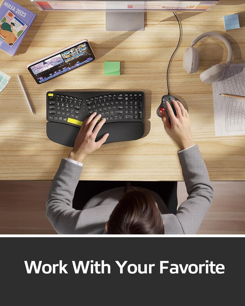 Nulea M509 Trackball Mouse Wired, Ergonomic Design, Easy Thumb Control, Precise & Smooth Tracking, 2-in-1 Interface (Type A &Type C), Compatible for PC, Laptop, Mac, Windows(Red).