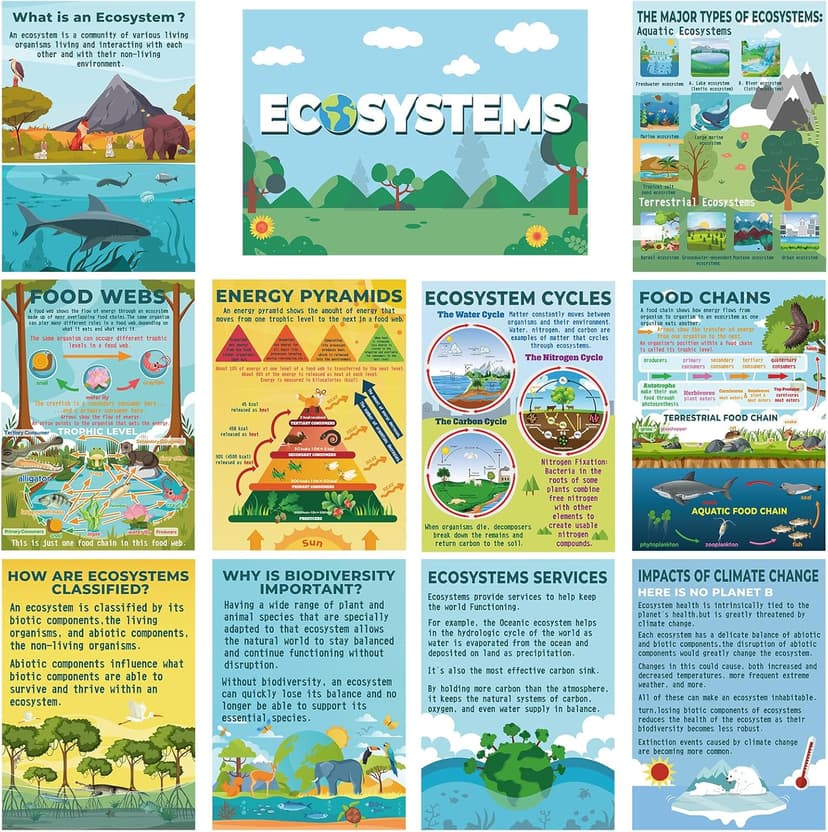 Pasimy 11 Pcs Science Posters for Classroom Ecosystems Teaching Poster Ecosystems Biological Food Chain Bulletin Board for Classroom Decoration Teacher Middle High School Educational Library Home