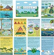 Pasimy 11 Pcs Science Posters for Classroom Ecosystems Teaching Poster Ecosystems Biological Food Chain Bulletin Board for Classroom Decoration Teacher Middle High School Educational Library Home