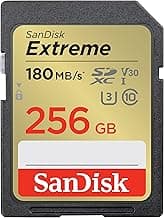 BEST SD CARDS
