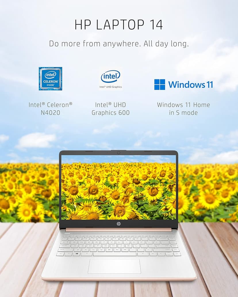 HP 14 Laptop, Intel Celeron N4020, 4 GB RAM, 64 GB Storage, 14-inch Micro-edge HD Display, Windows 11 Home, Thin & Portable, 4K Graphics, One Year of Microsoft 365 (14-dq0030nr, Pale Rose Gold)