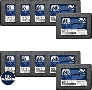 Patriot Memory P210 SATA 3 256GB SSD 2.5 Inch Internal Solid State Drive Bulk Packaged 10 Pack - P210S256G2510B