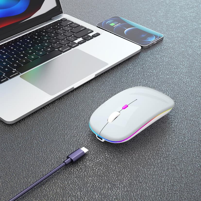 Wireless Bluetooth Mouse Rechargeable Laptop Mice with LED Use Portable(BT5.2 and USB 2.4G) Dual Mode Connection Silent Slim Computer Mouse for Laptop/iPad Tablet/Apple MacBook/PC(Silver)